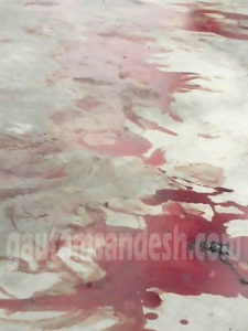 जमीन पर दूर तक बिखरा नज़र आ रहा खून। 