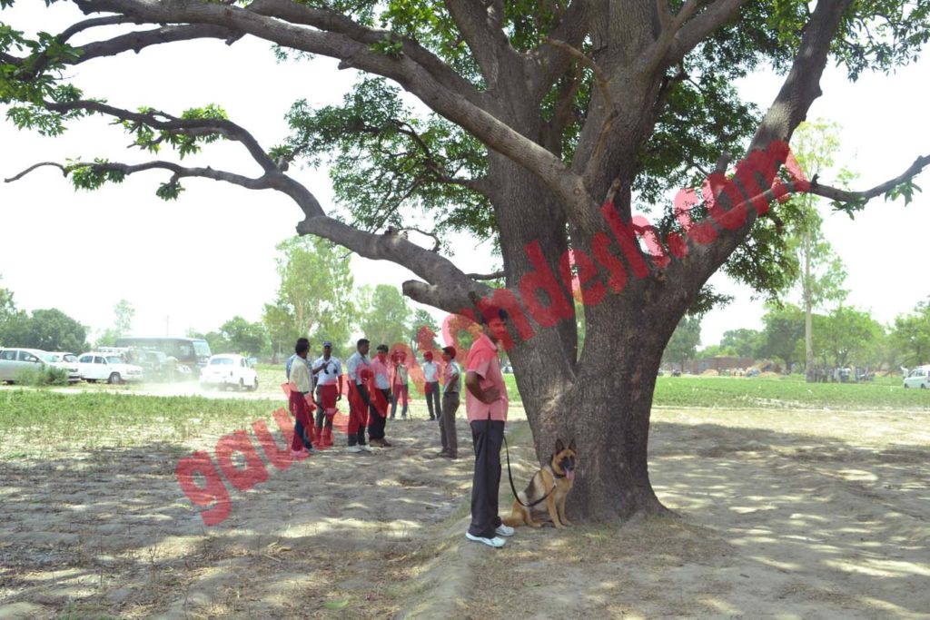 कटरा सआदतगंज में जासूसी कुत्ते के साथ छानबीन करता पुलिस कर्मी।