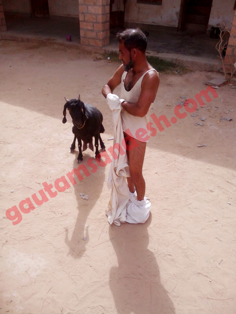 घटना स्थल पर खड़ा बकरी के साथ दुष्कर्म करने का आरोपी हुसैन खान।