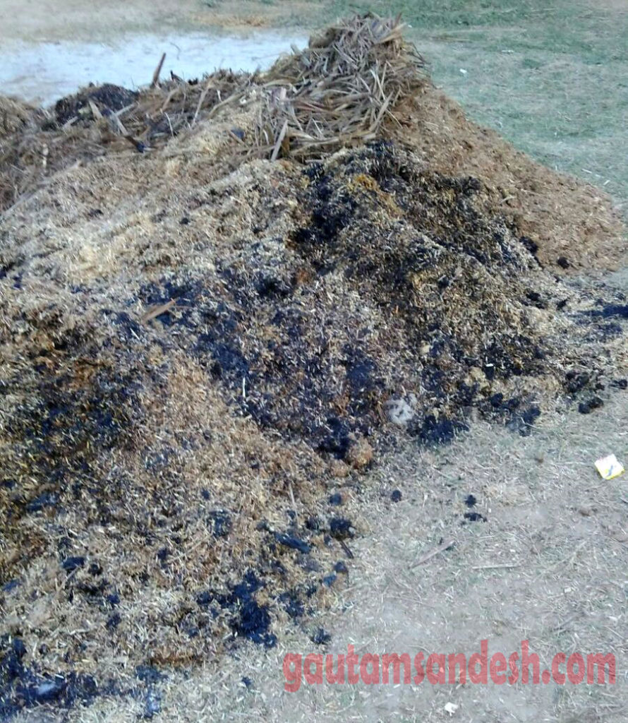 सुबह पशुशाला में मिला मलवा ।